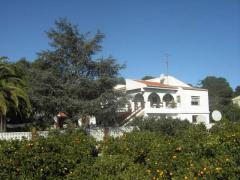 Villa with 2400 m2 property