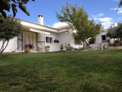 Excellent & beautiful house on one floor