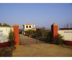 Finca Hermosa: Gorgeuos Finca perfect for HorseLovers in the heart of Huelva Province