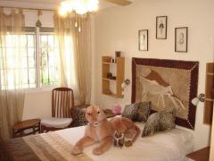 RS993 - Villa in Catral (Alicante) - Reduced price