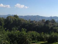 Finca for sale