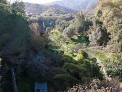 Finca for sale