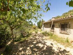 Beautiful Mountain Finca with Cherries, Almonds & Olives. Sustainable Lifestyle Opportunity!