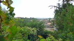NICE HOUSE IN CAMPANET FOR SALE -MALLORCA