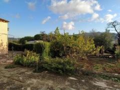 Finca walking distance from Jalon valley, Costa Blanca with a lot of potential