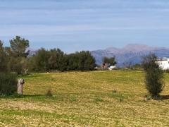 PLOT FOR A VINEYARD IN SENCELLES. SOIL PRODUCES QUALITY GRAPES 230K€
