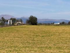 PLOT FOR A VINEYARD IN SENCELLES. SOIL PRODUCES QUALITY GRAPES 230K€