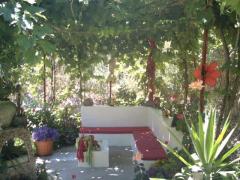 GRAN CANARIA: house & garden at Arteara (South Gran Canaria)