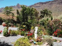 GRAN CANARIA: house & garden at Arteara (South Gran Canaria)