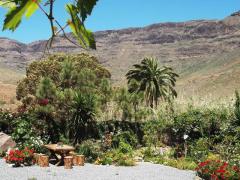 GRAN CANARIA: house & garden at Arteara (South Gran Canaria)