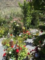 GRAN CANARIA: house & garden at Arteara (South Gran Canaria)
