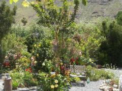 GRAN CANARIA: house & garden at Arteara (South Gran Canaria)