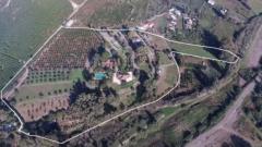 5 Bed Country Villa with Stables For Sale