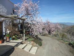 Stunning 210m2 Cortijo/Finca, Land 2,600m2 in the Contraviesa/Alpujarra