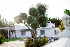 11 Bedrooms Detached Villa in Alhaurín de la Torre