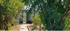 Detached Villa in Alora