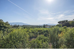Detached Villa in Pizarra
