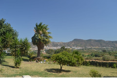 Finca - Cortijo in Estacion de Cartama
