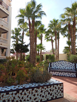 Appartment in torrevieja 2 bedroom