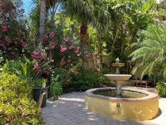 Finca with B&B potential at a very short distance from Alora!