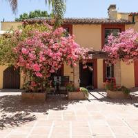 Finca with B&B potential at a very short distance from Alora!
