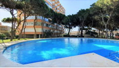 Fantastic studio flat close to the beach with stunning sea views