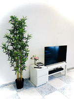 Ground Floor Studio in Fuengirola