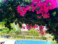Ground Floor Studio in Fuengirola