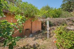 Ecological farm  with an Land  in Guaro