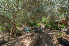 Ecological farm  with an Land  in Guaro