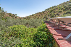 Ecological farm  with an Land  in Guaro