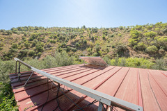 Ecological farm  with an Land  in Guaro