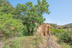 Ecological farm  with an Land  in Guaro