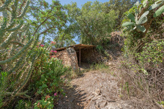 Ecological farm  with an Land  in Guaro