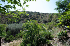 Ecological farm  with an Land  in Guaro
