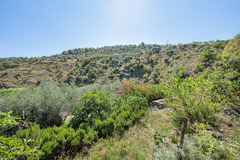 Ecological farm  with an Land  in Guaro