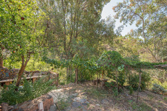 Ecological farm  with an Land  in Guaro