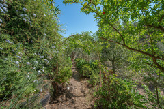 Ecological farm  with an Land  in Guaro