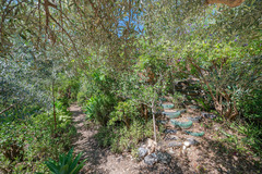 Ecological farm  with an Land  in Guaro