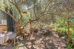 Ecological farm  with an Land  in Guaro