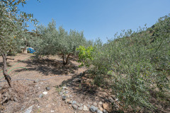 Ecological farm  with an Land  in Guaro