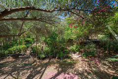 Ecological farm  with an Land  in Guaro