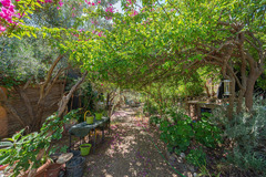Ecological farm  with an Land  in Guaro