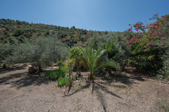 Ecological farm  with an Land  in Guaro