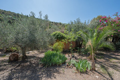 Ecological farm  with an Land  in Guaro