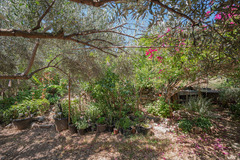 Ecological farm  with an Land  in Guaro