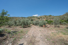 Ecological farm  with an Land  in Guaro