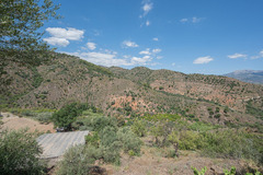 Ecological farm  with an Land  in Guaro