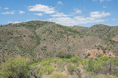 Ecological farm  with an Land  in Guaro