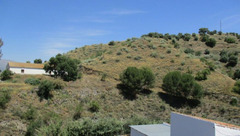 Finca Cortijo in Alora